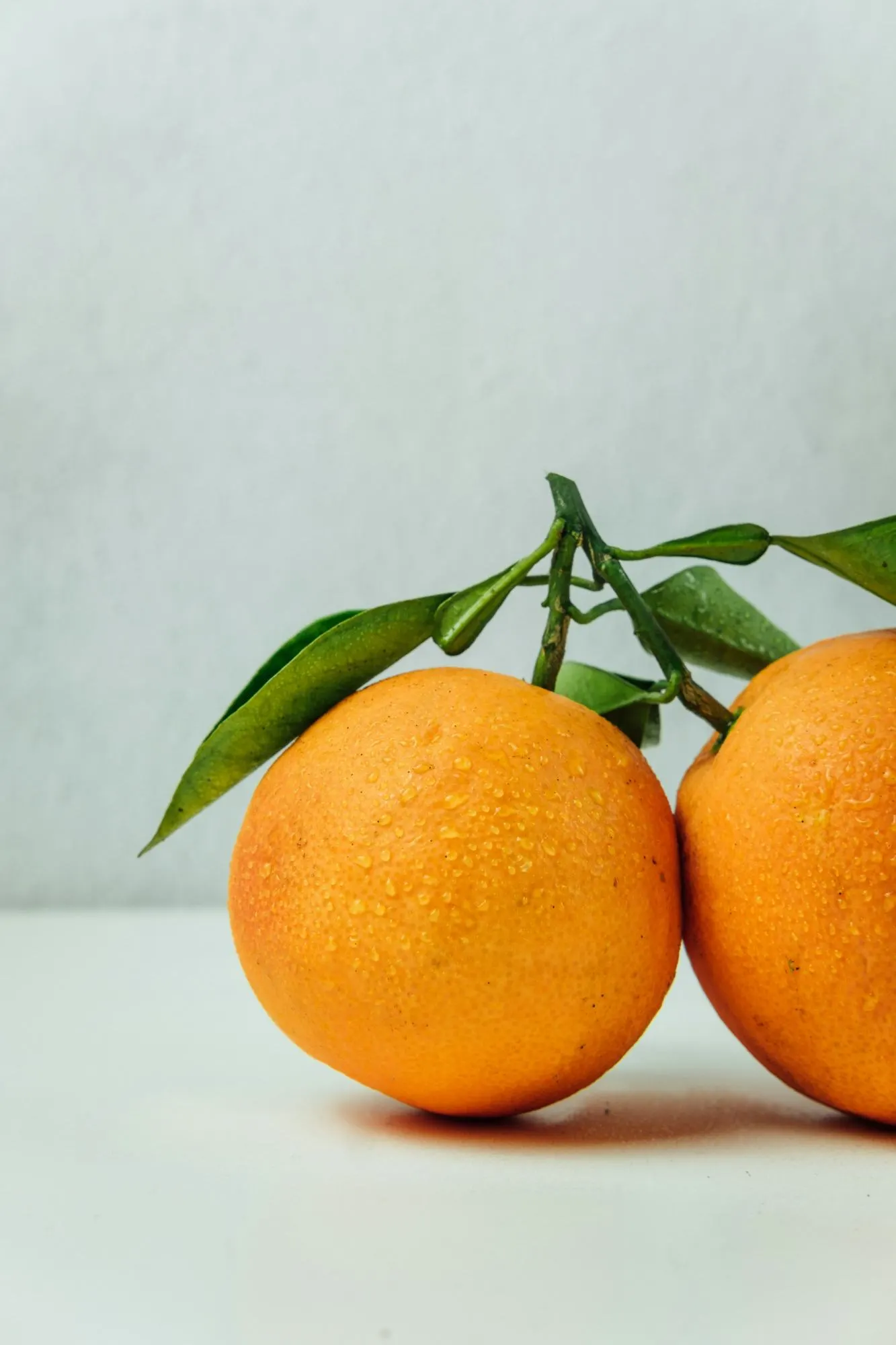 Productos de la Vega Baja del Segura